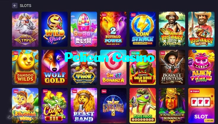 making first deposit on Pelican Casino website using local payment methods in Pakistan