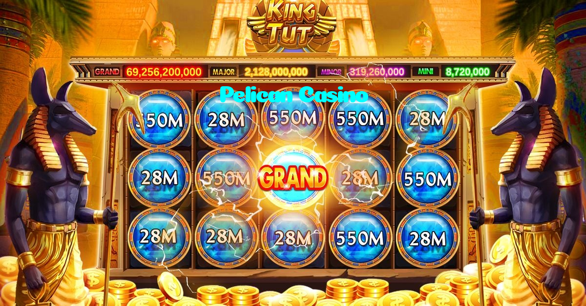 available types of Pelican Casino bet including pre-match live express and system bets