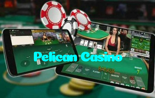 available types of Pelican Casino bet including pre-match live express and system bets